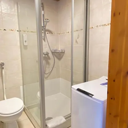 Apartment Balingen City *